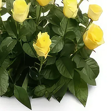 Palia Ampelia flowers  -  Parental Love Flower Bouquet/Arrangement