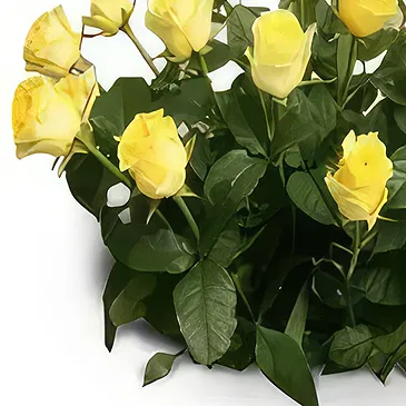 Palia Ampelia flowers  -  Parental Love Flower Bouquet/Arrangement