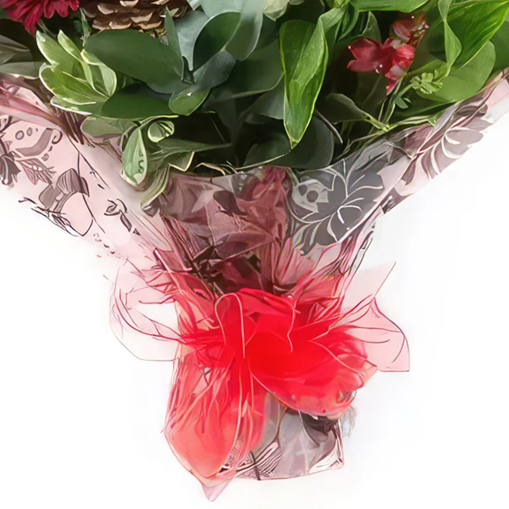 לידס פרחים- פריחת חג המולד זר פרחים/סידור פרחים