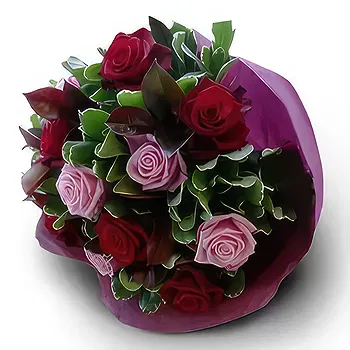 Antias flowers  -  Nature's Bounty Flower Delivery