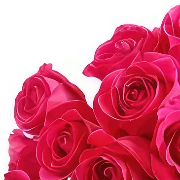 Adma flowers  -  For You Flower Bouquet/Arrangement