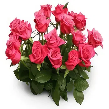Antias flowers  -  God Gifted Flower Delivery