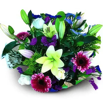 flores de Zaragoza- Grupo Diário Flor Entrega