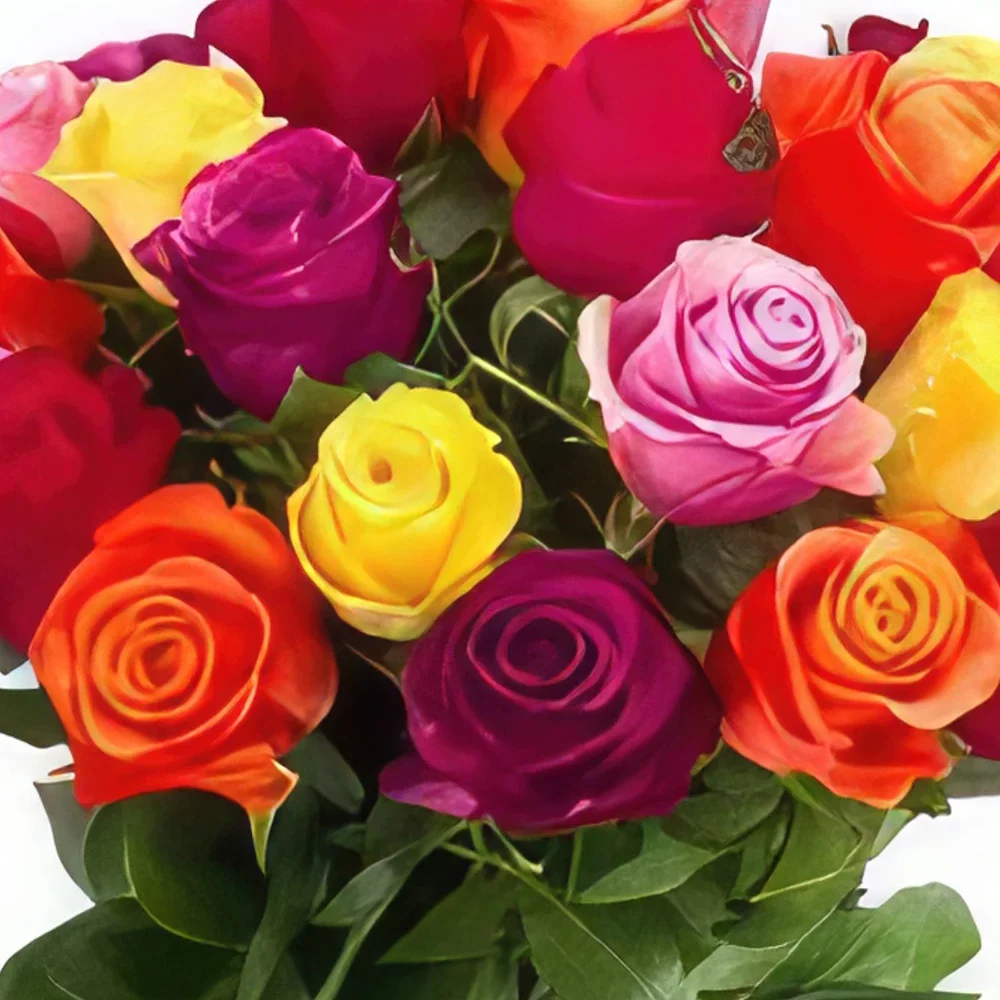 Rotterdam blomster- Bland farve roser Blomst buket/Arrangement