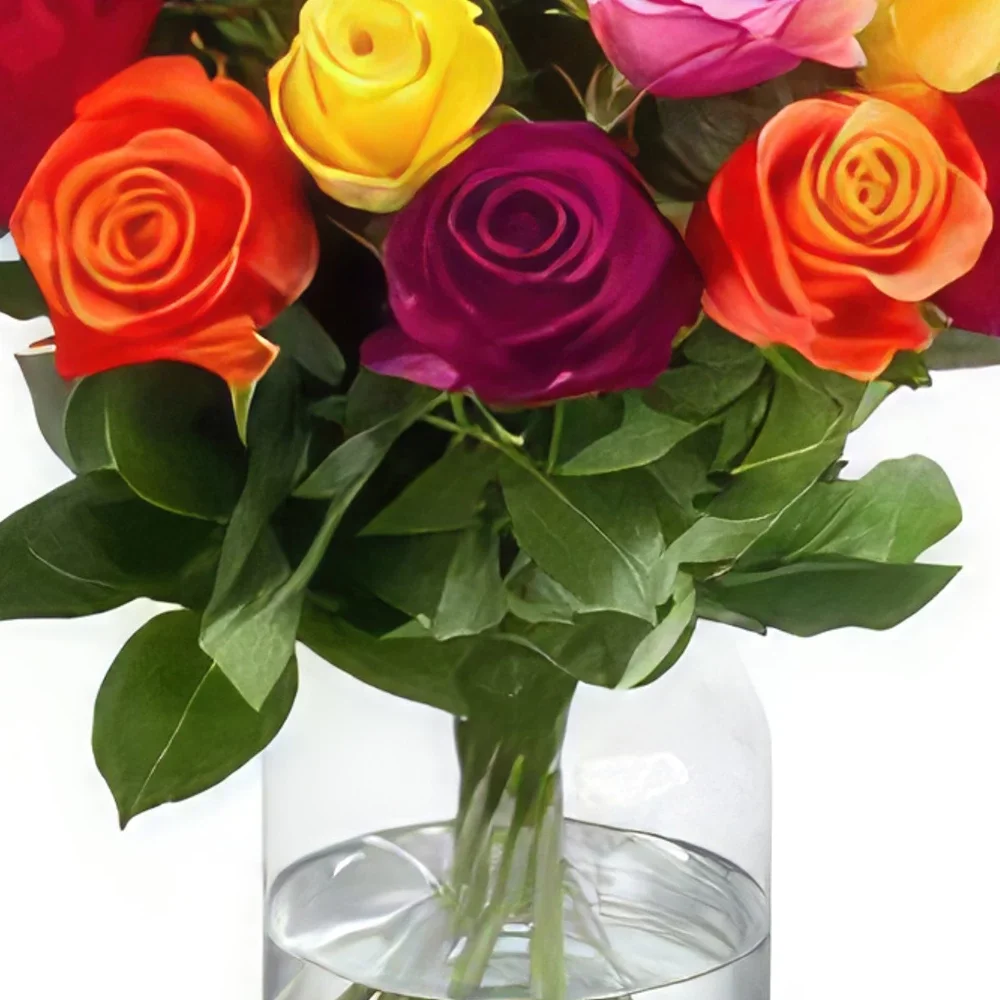 אמסטרדם פרחים- מערבבים ורדים בצבע זר פרחים/סידור פרחים