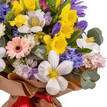 flores de Banloc- Vibrante Bouquet/arranjo de flor