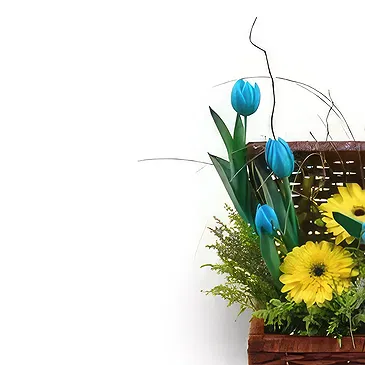 Buangkok flowers  -  Pleasant Basket Flower Bouquet/Arrangement