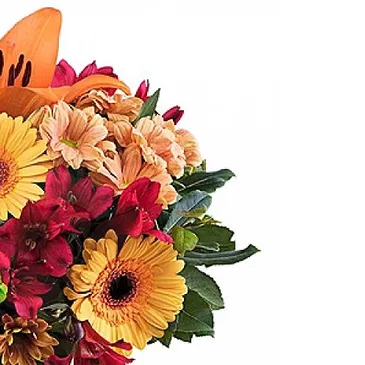 Italy flowers  -  Beautiful bouquet of flowers Flower Bouquet/Arrangement