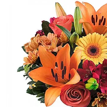 Italy flowers  -  Beautiful bouquet of flowers Flower Bouquet/Arrangement