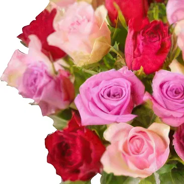 Flekkefjord blommor- Blandade rosor i ett vackert arrangemang Bukett/blomsterarrangemang