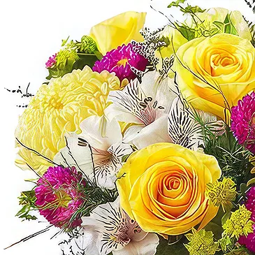 Smederevska Palanka flowers  -  Morning Flowers Flower Bouquet/Arrangement