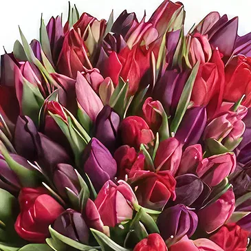 Ghadeer al tair flowers  -  Mixed Touch Flower Bouquet/Arrangement