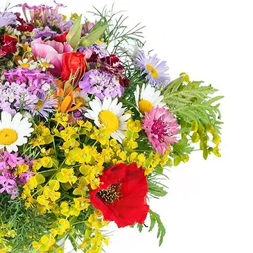 Italy flowers  -  Bouquet of wildflowers and daisies Flower Bouquet/Arrangement