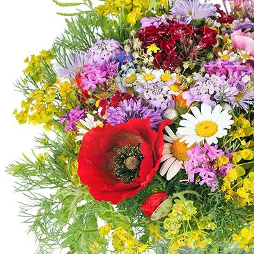 Italy flowers  -  Bouquet of wildflowers and daisies Flower Bouquet/Arrangement