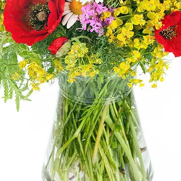 Italy flowers  -  Bouquet of wildflowers and daisies Flower Bouquet/Arrangement