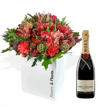 Redruth flowers  -  Carnation Carnival Flower Bouquet/Arrangement