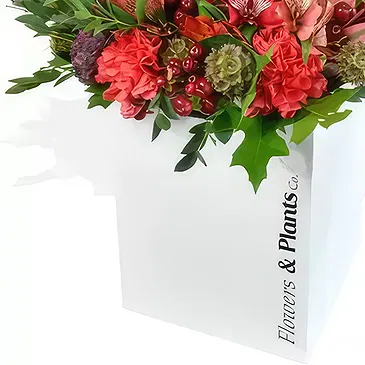 Redruth flowers  -  Carnation Carnival Flower Bouquet/Arrangement