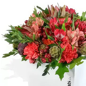 Redruth flowers  -  Carnation Carnival Flower Bouquet/Arrangement