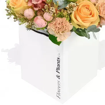 Taunton flowers  -  Peachy & Moet Flower Bouquet/Arrangement