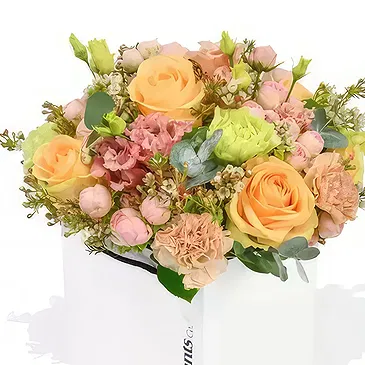 Taunton flowers  -  Peachy & Moet Flower Bouquet/Arrangement
