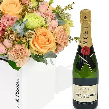Taunton flowers  -  Peachy & Moet Flower Bouquet/Arrangement