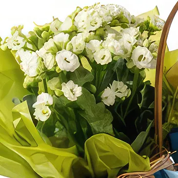 Brasilien Blumen Florist- Guten Morgen Kaffeekorb Bouquet/Blumenschmuck