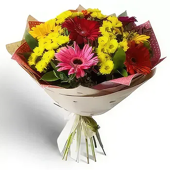 Kravino flowers  -  Multicolored Flowers Delivery