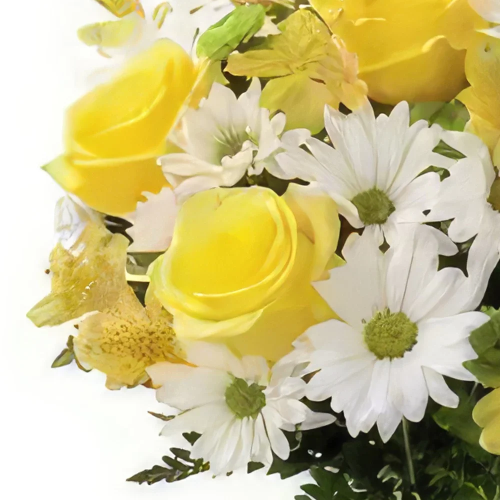 Azorene blomster- Morning Glory Blomsterarrangementer bukett