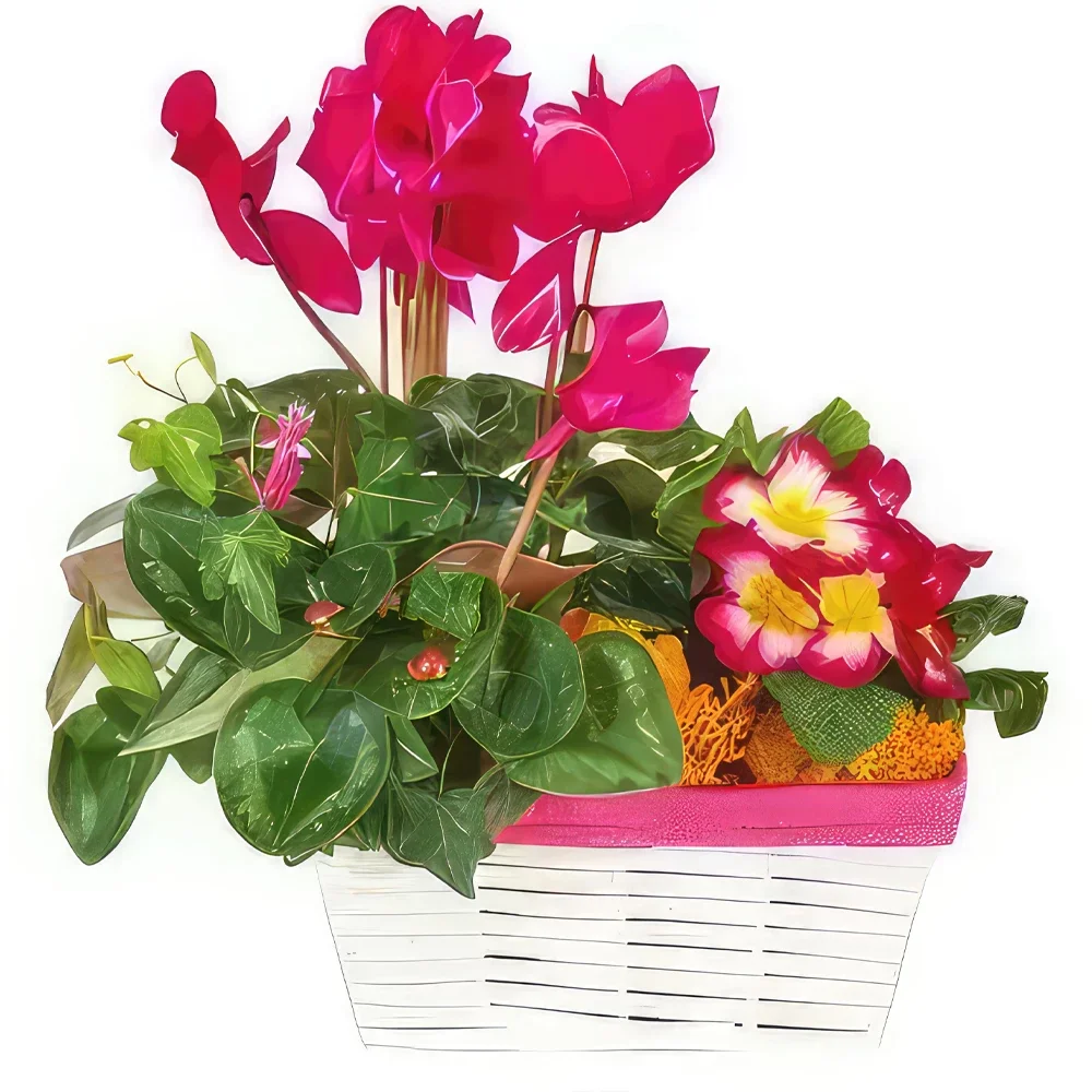 nett Blumen Florist- Trauerkomposition Rose-Fuchsia Eternal Journe Bouquet/Blumenschmuck