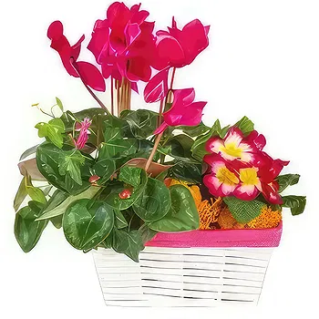 Aurignac flowers  -  Mourning composition rose-fuchsia Eternal Jou Flower Delivery