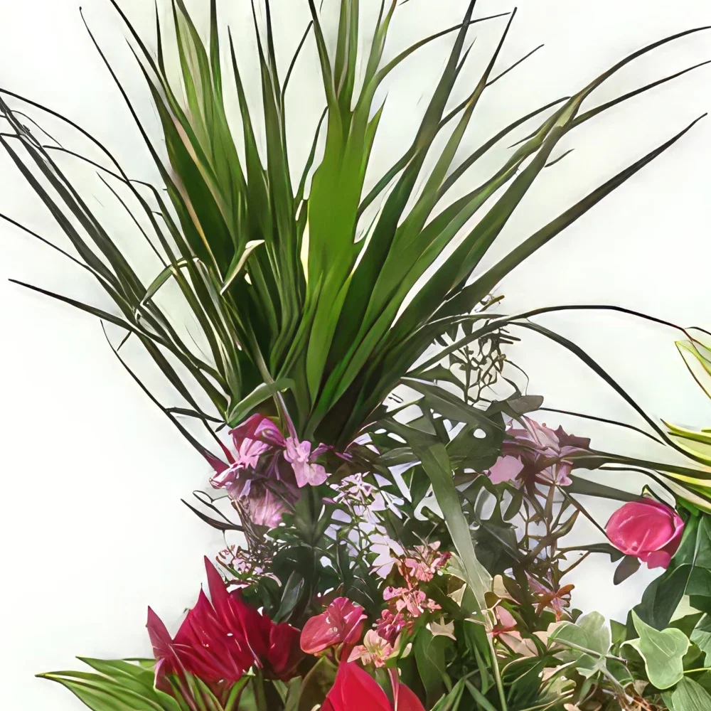 flores de Pau- Composição de luto O Jardim do Olimpo Bouquet/arranjo de flor