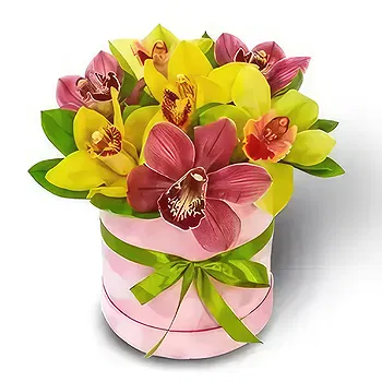 Kravino flowers  -  Adorable Scents Flower Delivery