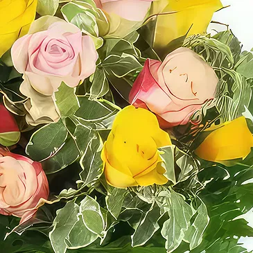 بائع زهور مارتينيك- بوكيه دائري متعدد الالوان دام روز باقة الزهور