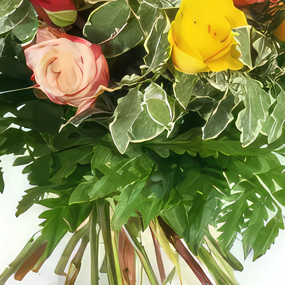 بائع زهور مونبلييه- بوكيه دائري متعدد الالوان دام روز باقة الزهور