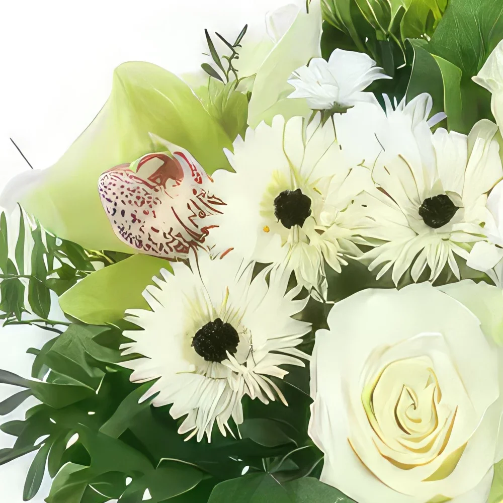 fiorista fiori di bordò- Bouquet rotondo bianco e verde di Monaco Bouquet floreale
