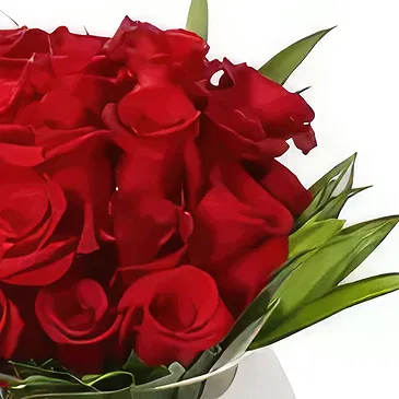 Garhoud flowers  -  My Heart Belongs To You  Flower Bouquet/Arrangement