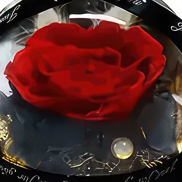 Al-Ḥimaira flowers  -  My Valentine Flower Bouquet/Arrangement