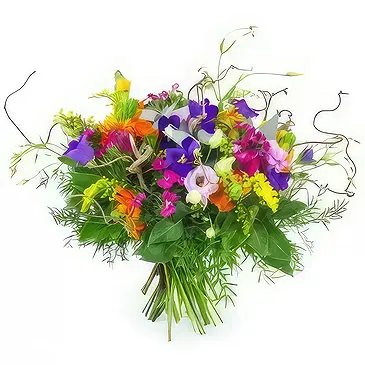 Le François flowers  -  Naples Sparkling Country Bouquet Flower Bouquet/Arrangement