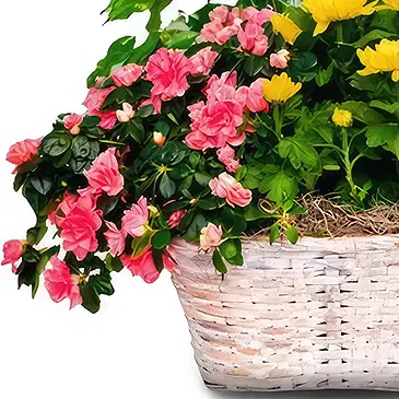 Ibiza flowers  -  Nature's Bounty Basket Flower Bouquet/Arrangement