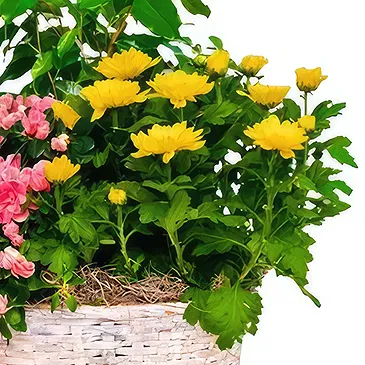 Ibiza flowers  -  Nature's Bounty Basket Flower Bouquet/Arrangement