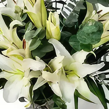 Garhoud flowers  -  Nature Beauty Flower Bouquet/Arrangement