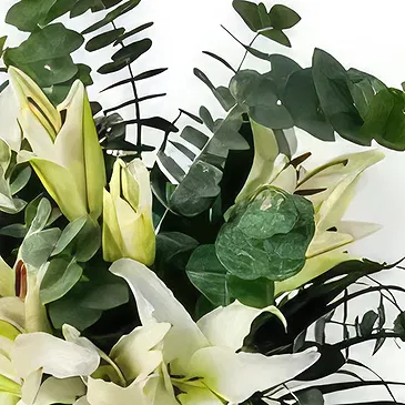 Garhoud flowers  -  Nature Beauty Flower Bouquet/Arrangement