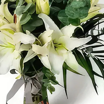 Garhoud flowers  -  Nature Beauty Flower Bouquet/Arrangement