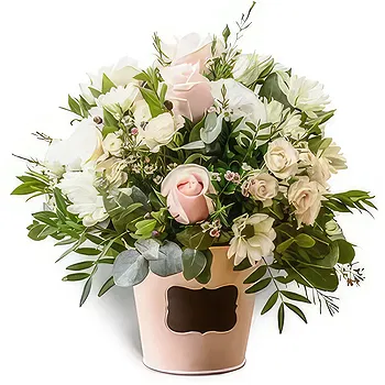 Antias flowers  -  Delicate Colors Flower Delivery
