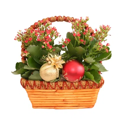 flores Italia floristeria -   Ramo de flores/arreglo floral