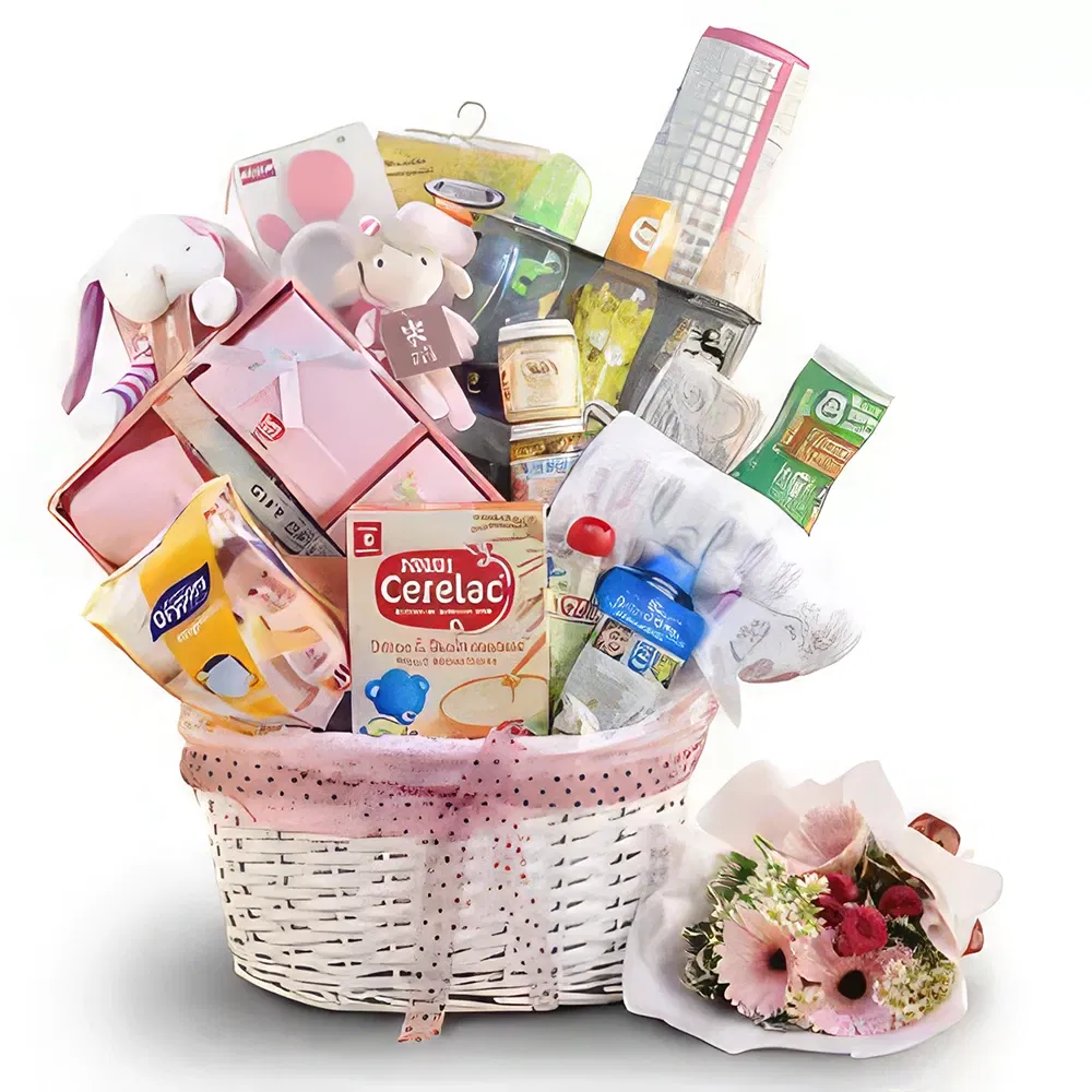 Singapur Blumen Florist- Grundlegende Babybedürfnisse