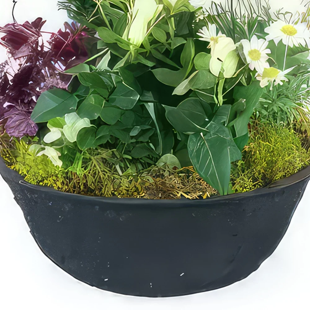 Nantes rože- Nubes Bela rastlinska žalna skodelica Cvet šopek/dogovor