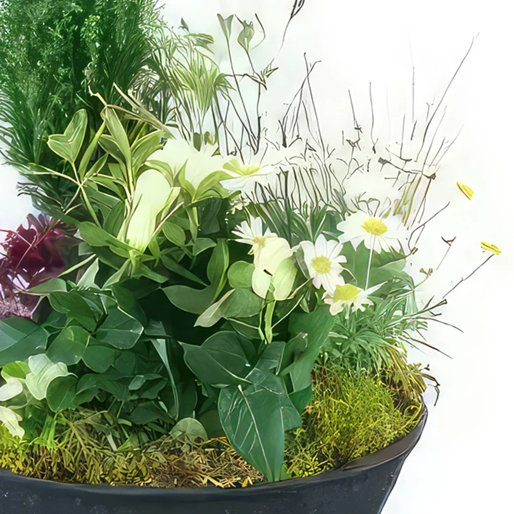 Tarbes цветя- Траурна чаша Nubes White Plant Букет/договореност цвете