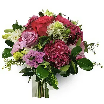 flores de Zaragoza- Sentimentos Vibrantes Flor Entrega