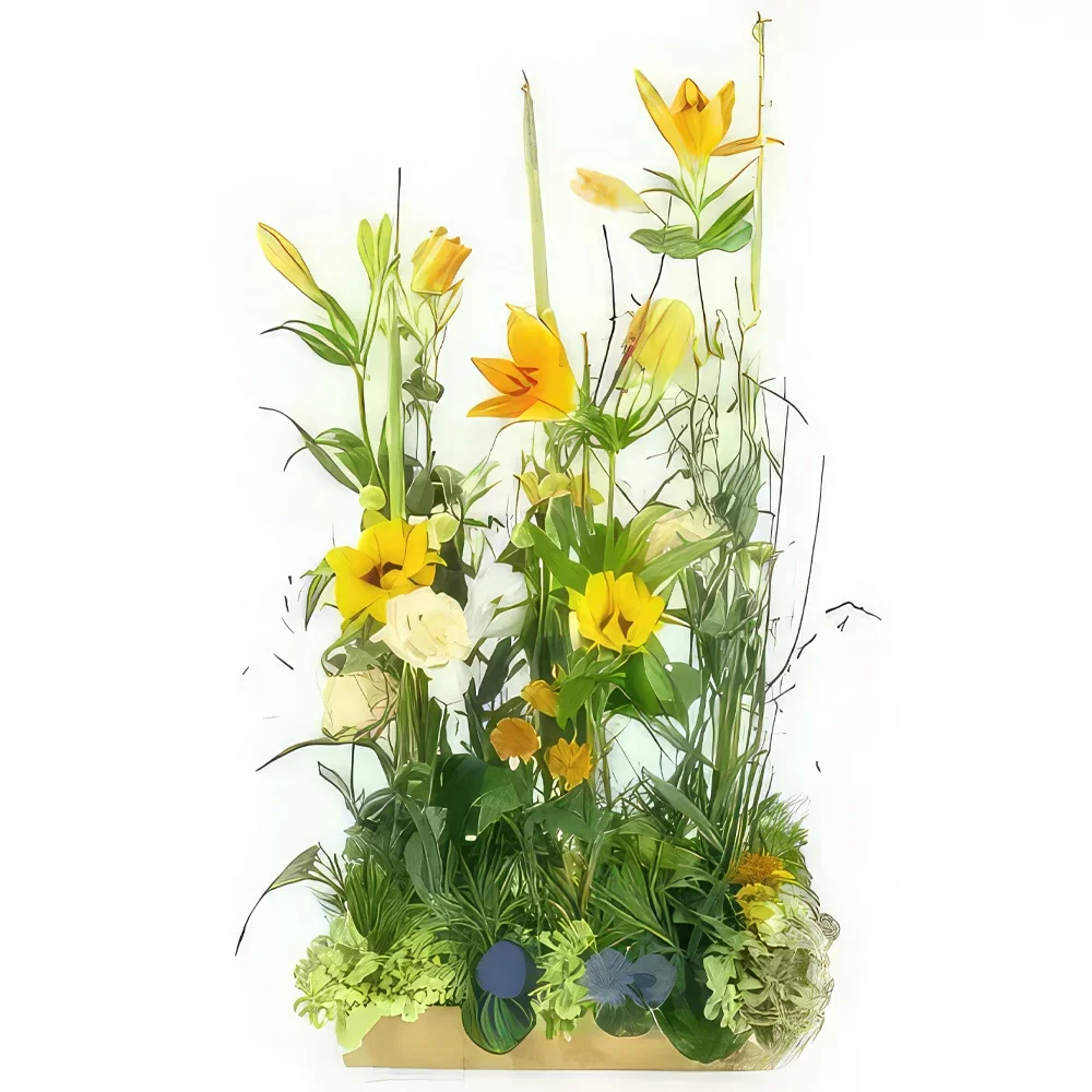 Pau blomster- Orange Amarillo blomsterarrangement Blomst buket/Arrangement